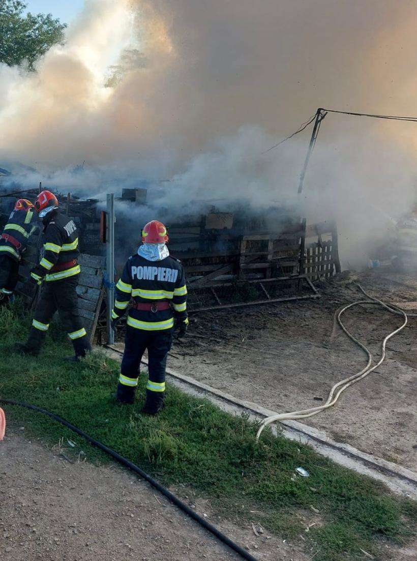 Incendiu uriaș la o fermă din Tulcea: 14 păsări au ars