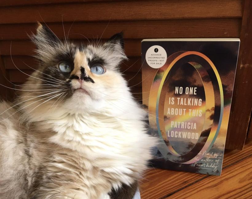 Ghiveci literar american cu Reagan, Trump și Cărtărescu 18858916