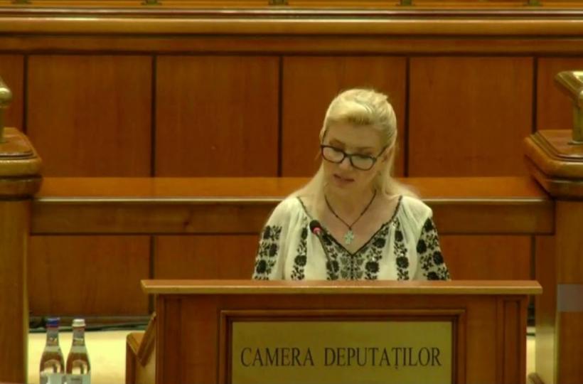 Legea antialcool la CFR, amânată de 16 ori în Cameră 18859083