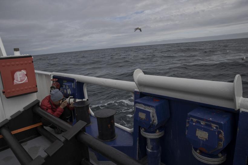 O navă de croazieră cu peste 200 de persoane la bord a eșuat în Groenlanda 18859103