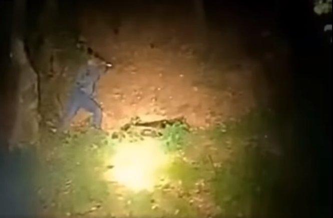 Un bărbat a atacat cu bâta un urs care dormea în pădure: "Fugi! Fugi, că mă omoară!" 18859254