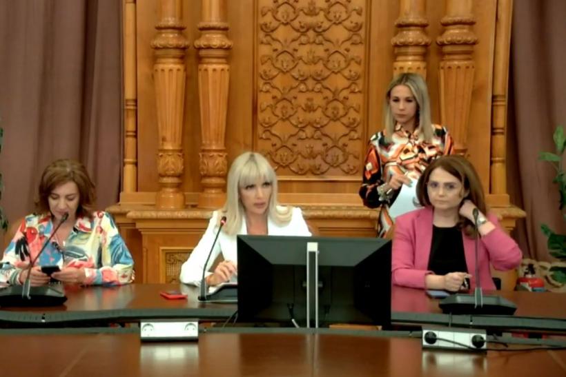 Atenție! Parlamentul a produs „Legea lui Bulă” : spui bancuri politice, te duci trei ani la pușcărie 18859359