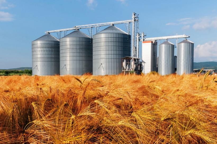 Ministrul Agriculturii explică ce se va întâmpla după expirarea interdicției pentru importurile de cereale din Ucraina