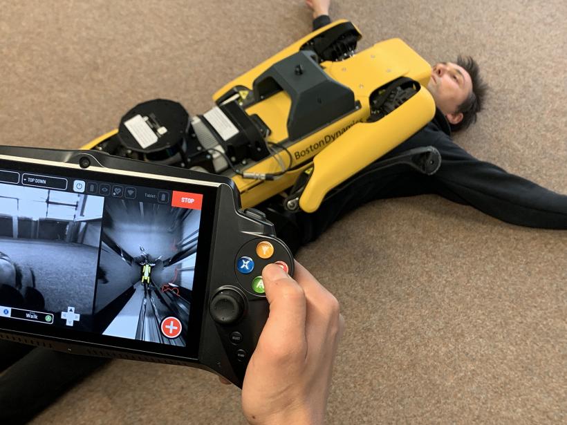  A început NOVA Festival! Programul include lucrările a peste 40 de artiști și profesioniști din sfera neuro-psihologiei 18859638