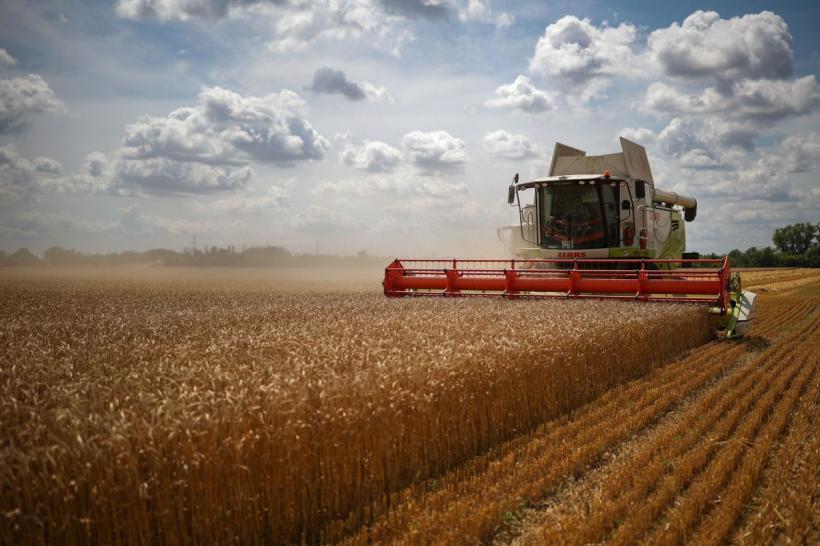Organizațiile de fermieri cer interzicerea importului în România a unor produse din Ucraina