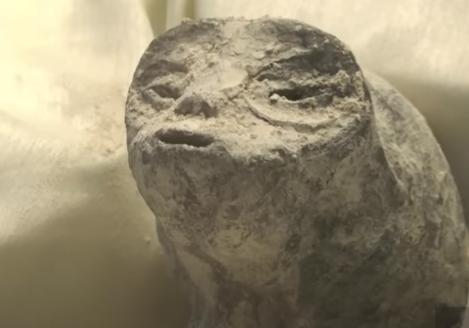 Scandalul secolului: Presupuse cadavre de extratereștri, prezentate în Congresul mexican 18859694