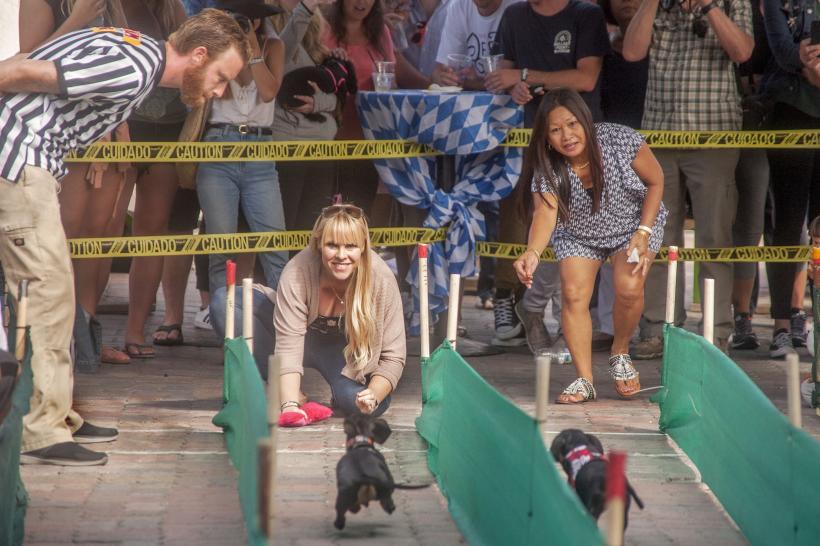 Festivalul berii Oktoberfest a început oficial la Munchen 18859648