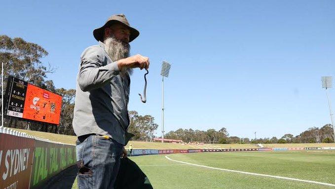 Un șarpe veninos a intrat pe teren la un meci de fotbal din Australia 18859682