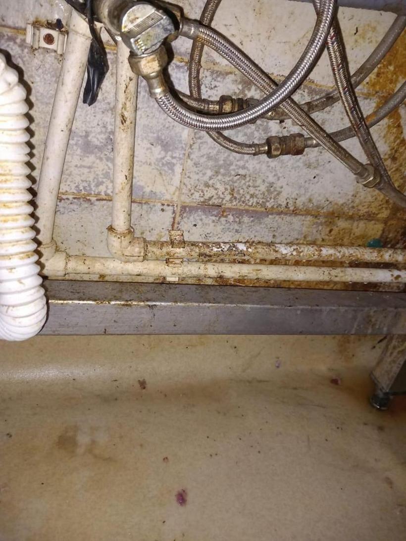 Taverna Racilor Herăstrău  închisă de ANPC! Ce nereguli au descoperit comisarii 18860030