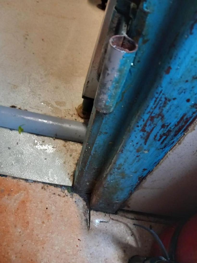 Taverna Racilor Herăstrău  închisă de ANPC! Ce nereguli au descoperit comisarii 18860031