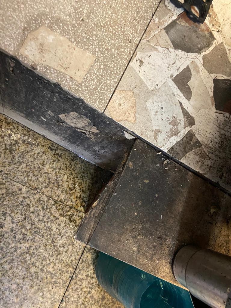 Taverna Racilor de la Timișoara a fost închisă de Protecția Consumatorului 18860432