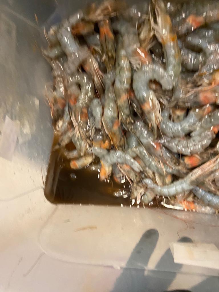 Taverna Racilor de la Timișoara a fost închisă de Protecția Consumatorului 18860439