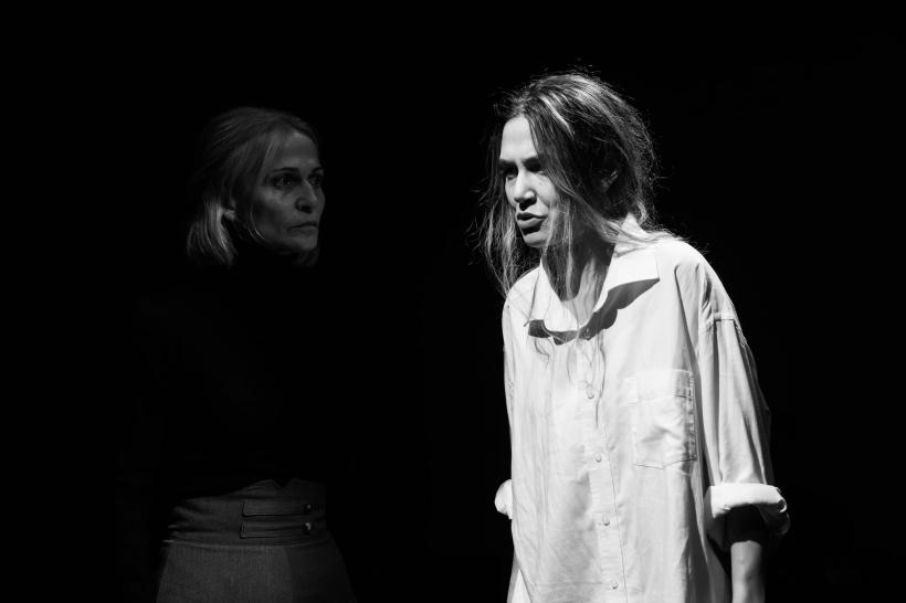 Două spectacole ale Teatrului Satiricus din Chişinău, la Bucureşti, la final de septembrie,  la invitaţia Teatrului Stela Popescu 18860340