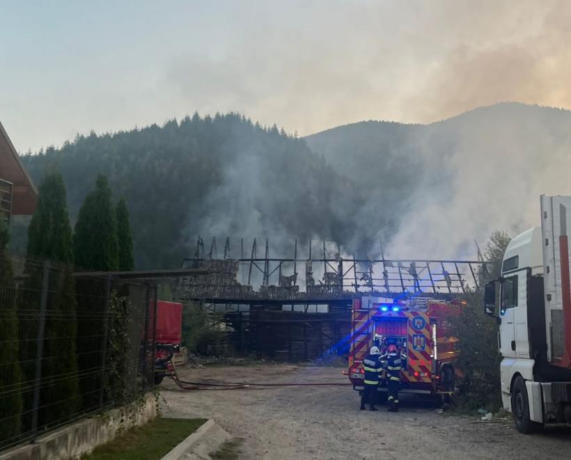 Incendiu izbucnit într-o hală-gater în localitatea Vama, județul Suceava