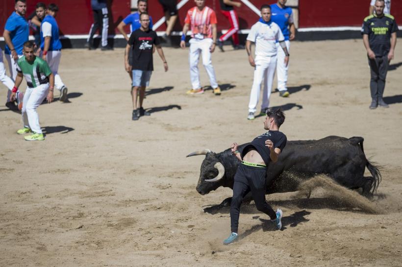 Ucis de taur, la un festival spaniol