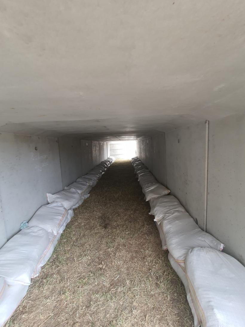 Războiul Deltei. Oamenii râd de adăposturile armatei și înjură trasoarele ucrainenilor 18860784