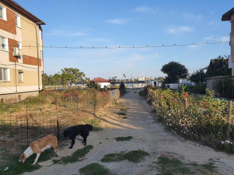 Războiul Deltei. Oamenii râd de adăposturile armatei și înjură trasoarele ucrainenilor 18860800