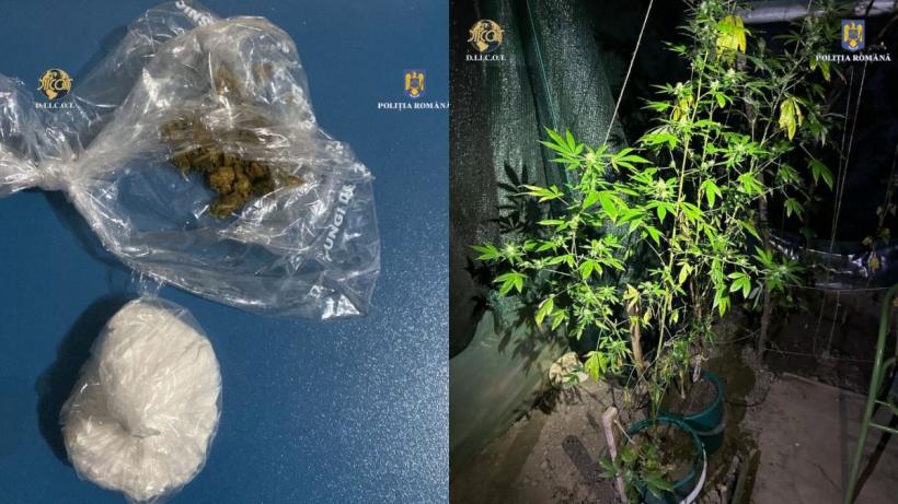 Trei profesori sunt suspectați de trafic de droguri. Unul cultiva canabis, iar ceilalți vindeau droguri de mare risc 18861077