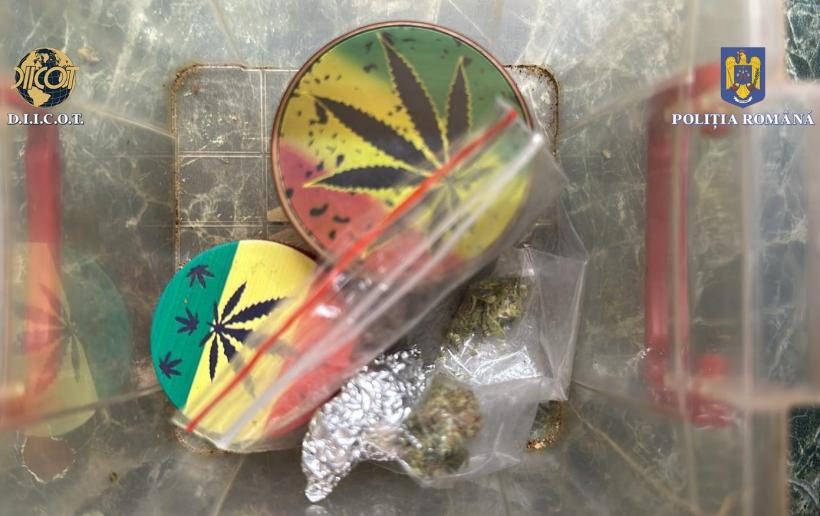 Trei profesori sunt suspectați de trafic de droguri. Unul cultiva canabis, iar ceilalți vindeau droguri de mare risc 18861078