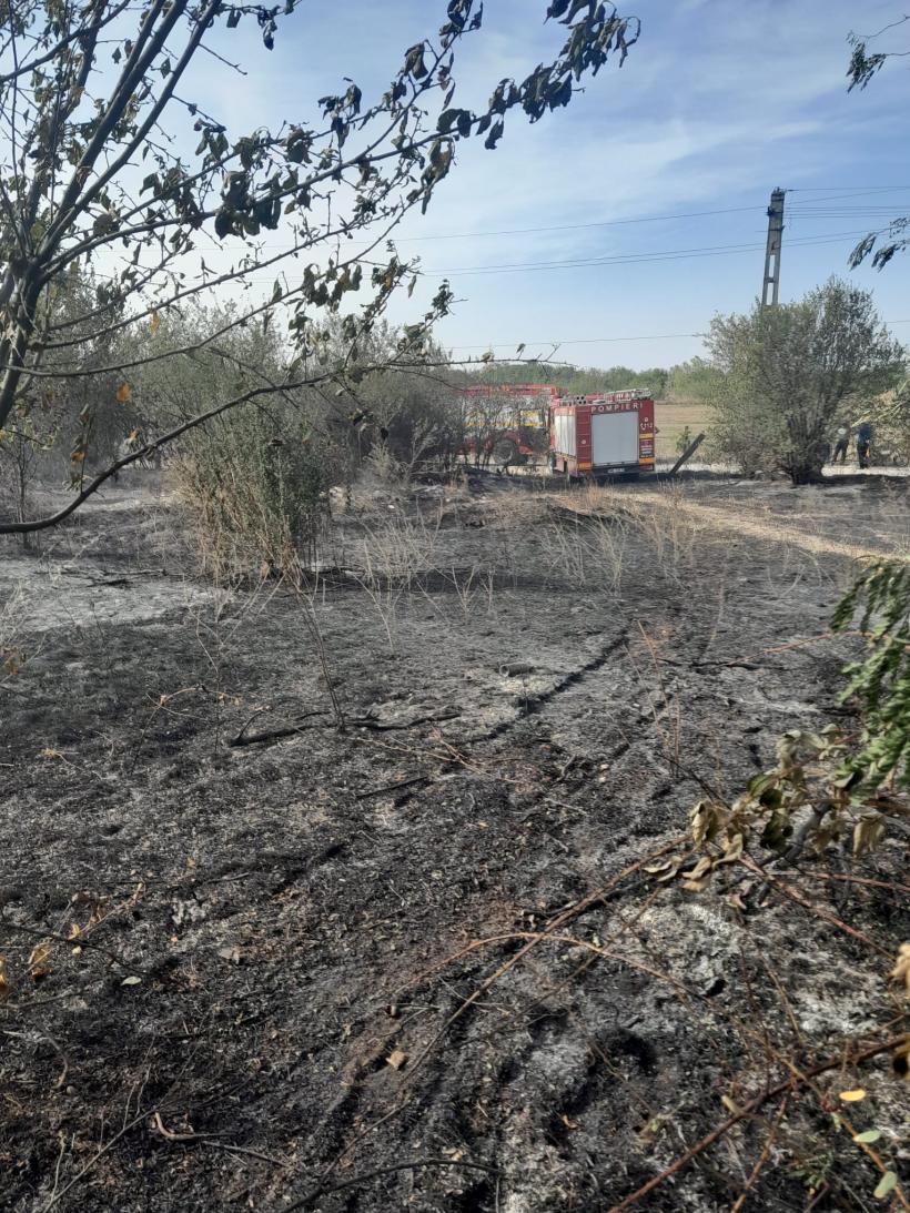 UPDATE ISU a solicitat închiderea temporară a circulației feroviare în stația Grădinari 18861320