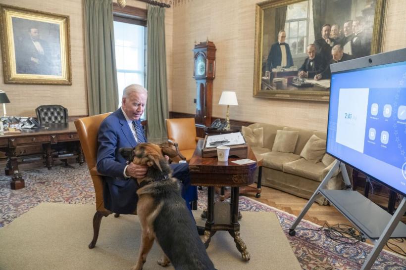 Câinele lui Biden, spaima Serviciului Secret
