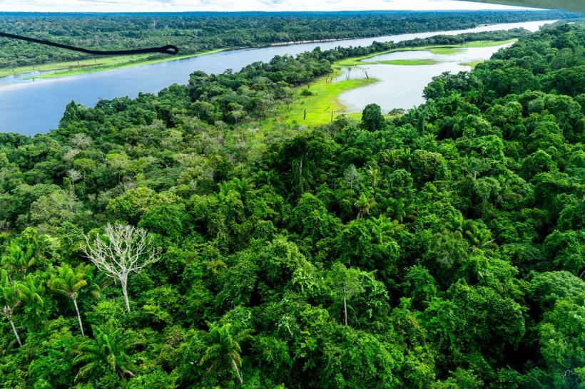 Secetă fără precedent în Amazon 18861387