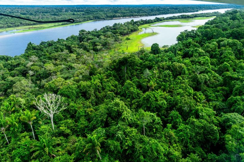Secetă fără precedent în Amazon