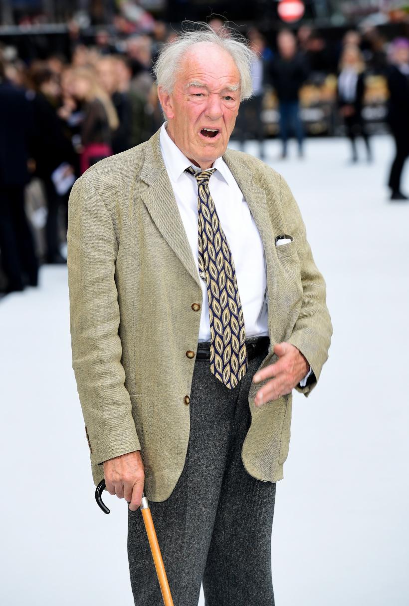 Este doliu la Hollywood! Vedeta seriei Harry Potter, Sir Michael Gambon, a murit 18861582