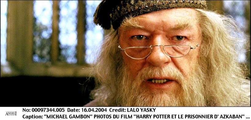 Este doliu la Hollywood! Vedeta seriei Harry Potter, Sir Michael Gambon, a murit 18861583