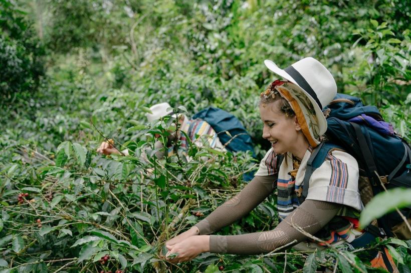 America Express – Drumul Soarelui revine sâmbătă, 21 octombrie la Antena 1 cu o premieră maraton de 5 zile 18861669