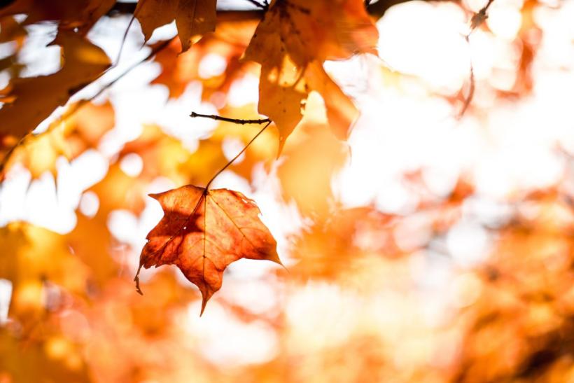 Prognoză pentru luna octombrie: Temperaturile vor fi în general mai mari decât cele normale