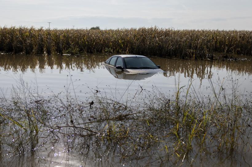 Culturile din Grecia, devastate: Fermierii sunt îngroziți. Animalele moarte zac de 20 de zile fără să fie ridicate 18861793