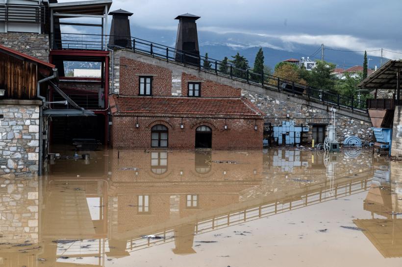 Culturile din Grecia, devastate: Fermierii sunt îngroziți. Animalele moarte zac de 20 de zile fără să fie ridicate 18861795