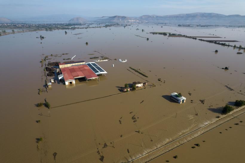 Culturile din Grecia, devastate: Fermierii sunt îngroziți. Animalele moarte zac de 20 de zile fără să fie ridicate 18861796