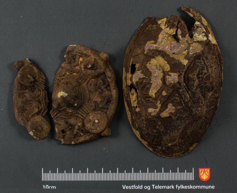 Descoperire uimitoare făcută de o familie din Norvegia. Căutau un cercel pierdut, dar au găsit o comoară 18861811