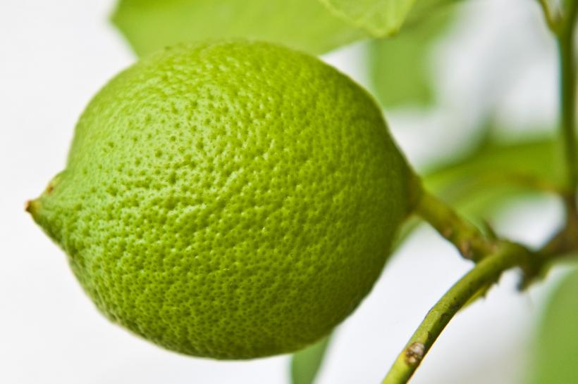 Sfaturi de la un chirurg plastician: Pielea poate întineri natural cu fructe și legume. Iată 7 produse ale naturii care te vor transforma în cea mai proaspătă și frumoasă variantă a ta 18861753