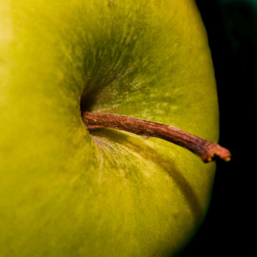 Sfaturi de la un chirurg plastician: Pielea poate întineri natural cu fructe și legume. Iată 7 produse ale naturii care te vor transforma în cea mai proaspătă și frumoasă variantă a ta 18861756