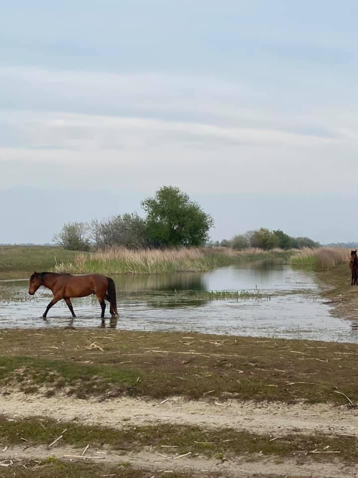 5 locuri minunate din România pe care să le vizitezi în această toamnă 18862380