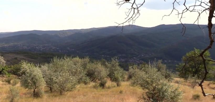 Un loc minunat din România atrage căutătorii de comori 18862577