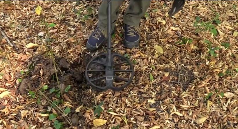 Un loc minunat din România atrage căutătorii de comori 18862578