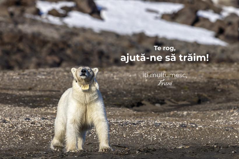 Expoziția „La NORD de cuvinte”, ce ilustrează primele expediții arctice ale fotografului Rareș Beșliu - deschisă în cadrul Bucharest Photofest
