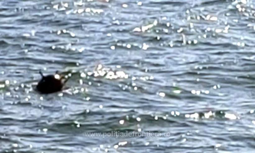 O navă de marfă turcească a lovit o mină marină în apropiere de Sulina 18862856
