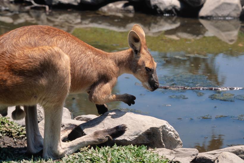 10 cele mai sigure țări din lume unde să-ți petreci vacanța 18863743