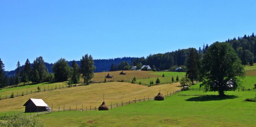 Conferinţa Naţională România Inteligentă „Turism în Bucovina, patru puncte cardinale: patrimoniu, spiritualitate, natură, gastronomie” 18864193