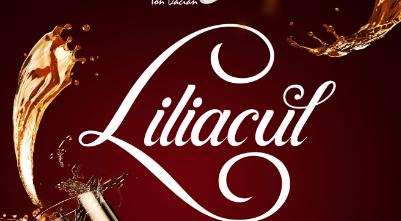 ”Liliacul” – pierdute sunt doar zilele în care ne-a lipsit bucuria – în premieră pe scena Teatrului  Național de Operetă și Musical &quot;Ion Dacian&quot;
