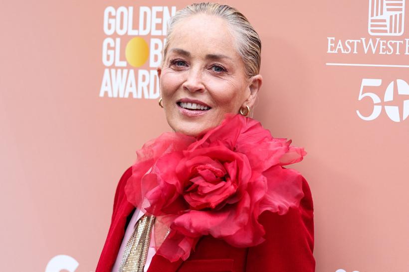 Sharon Stone revine în lumea artei. Noua pasiune a actriței din „Basic Instinct” 18865011