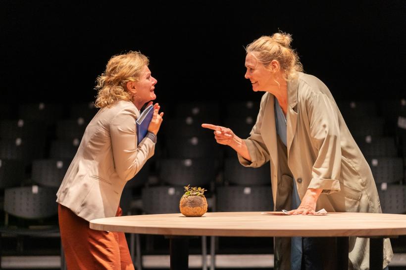 Teatrul Național „Radu Stanca”, prezent cu trei spectacole de excepție la Festivalul Național de Teatru 18865314