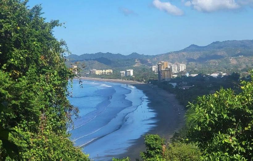 Crâmpeie de viață pe malul Oceanului Pacific 18865233