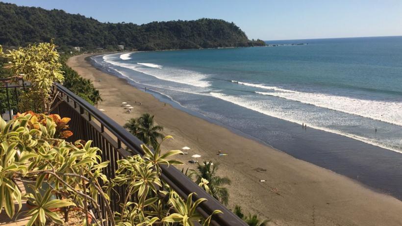 Crâmpeie de viață pe malul Oceanului Pacific 18865234