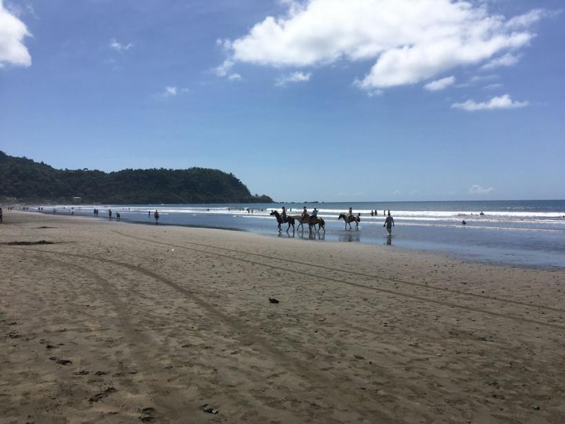 Crâmpeie de viață pe malul Oceanului Pacific 18865235